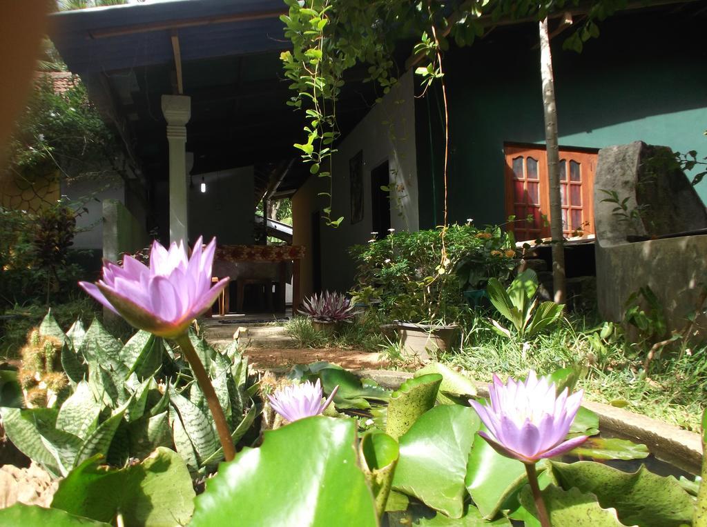 Sanjana Home Stay Habarana Eksteriør bilde